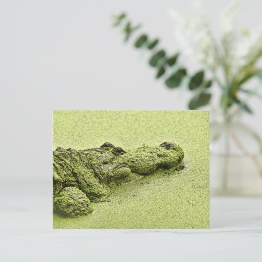 Carte Postale Gator - Vert Dans L'Aluminium (Debout devant)