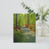 Carte Postale Gazebo (Debout devant)