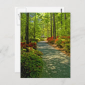 Carte Postale Gazebo (Devant / Derrière)