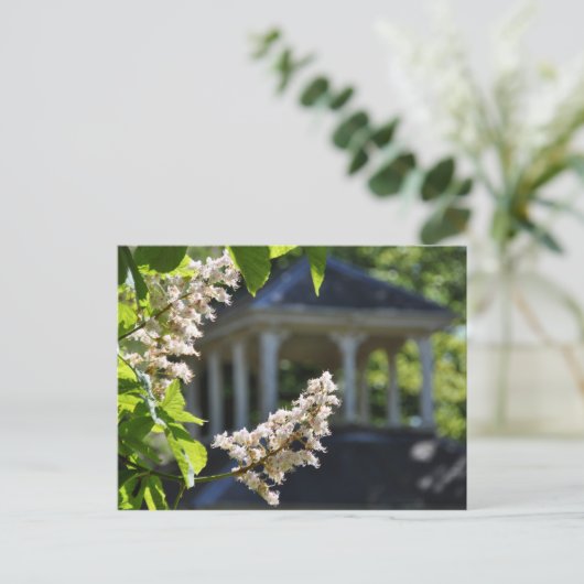 Carte postale 'Gazebo' (Debout devant)