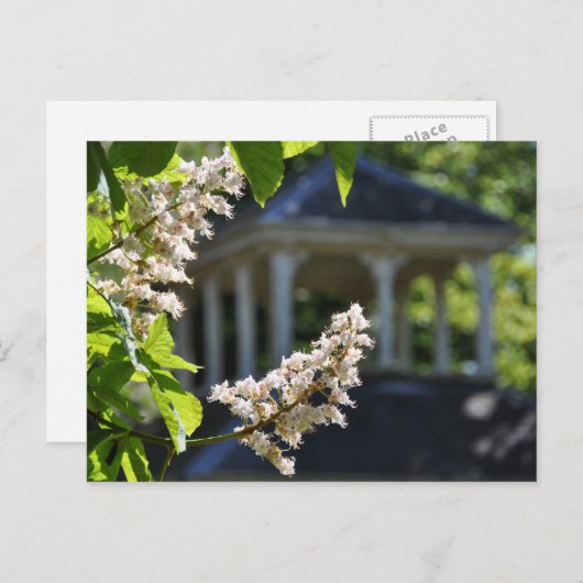 Carte postale 'Gazebo' (Devant / Derrière)