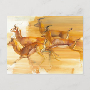 Carte Postale Gazelles courantes 2010