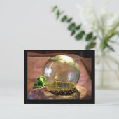 Carte Postale Gazer (Debout devant)