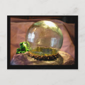 Carte Postale Gazer (Devant)