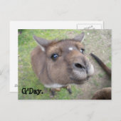 Carte Postale G'day. (Devant / Derrière)