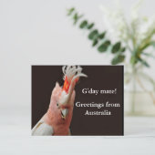 Carte Postale Gday mate ! salutations d'Australie (Debout devant)