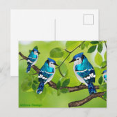 Carte Postale Geais bleus sur une branche (Devant / Derrière)