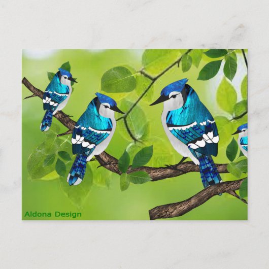 Carte Postale Geais bleus sur une branche (Devant)