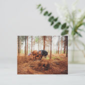 Carte Postale Géant doux - Cheval à l'oeuvre dans la forêt (Debout devant)