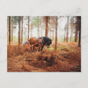 Carte Postale Géant doux - Cheval à l'oeuvre dans la forêt