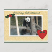 Carte postale géante de Noël de panda d'ours panda (Devant)