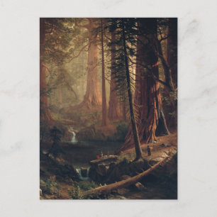 Carte Postale Géants arbres séquoias de Californie Albert Bierst