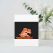 Carte Postale gecko (Debout devant)