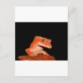 Carte Postale gecko (Devant)