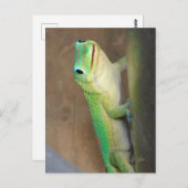 Carte Postale Gecko Jour Poussière Or (Devant / Derrière)