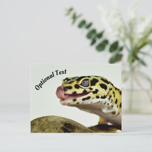 Carte Postale Gecko léopard (Debout devant)