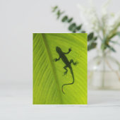 Carte Postale Gecko Silhouette (Debout devant)