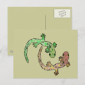 Carte Postale Geckoland (Devant / Derrière)