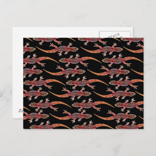 Carte Postale Geckos (Devant / Derrière)