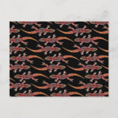 Carte Postale Geckos (Devant)