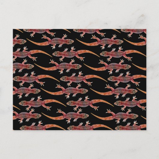 Carte Postale Geckos (Devant)