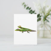 Carte Postale Geckos hawaïens (Debout devant)