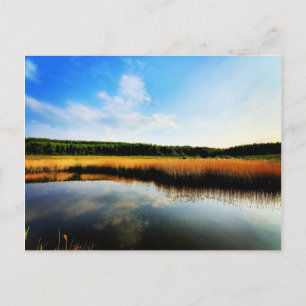Carte Postale Gedling Country Park