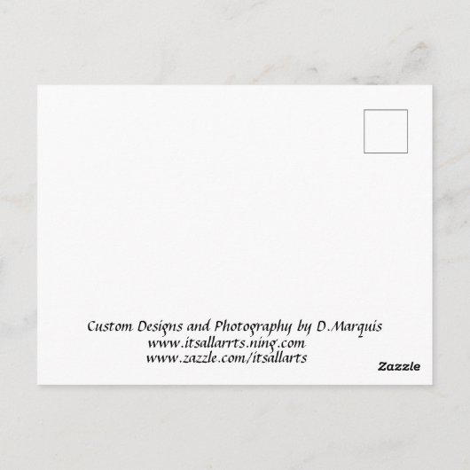 Carte postale GEESE (Dos)