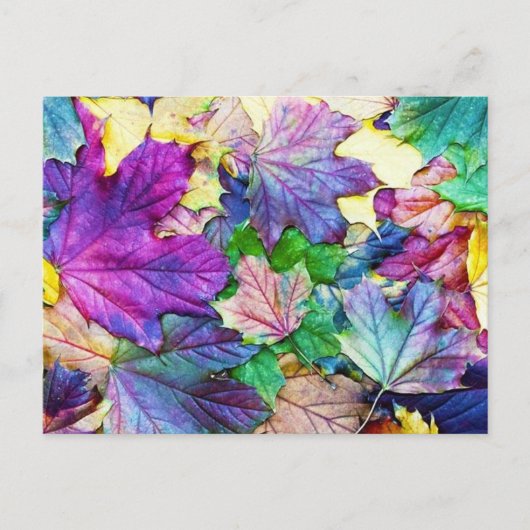Carte Postale gekleurde blaadjes (Devant)