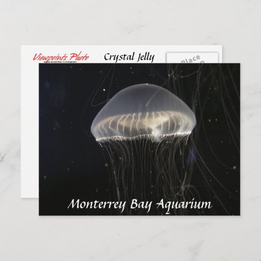 Carte postale : gelée de cristal (Devant / Derrière)