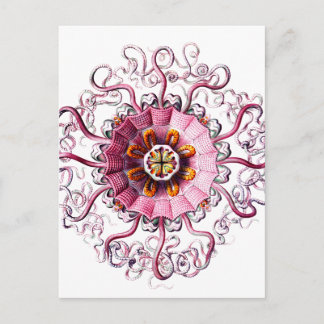Carte Postale gelée rose avec points verts clair copie.png