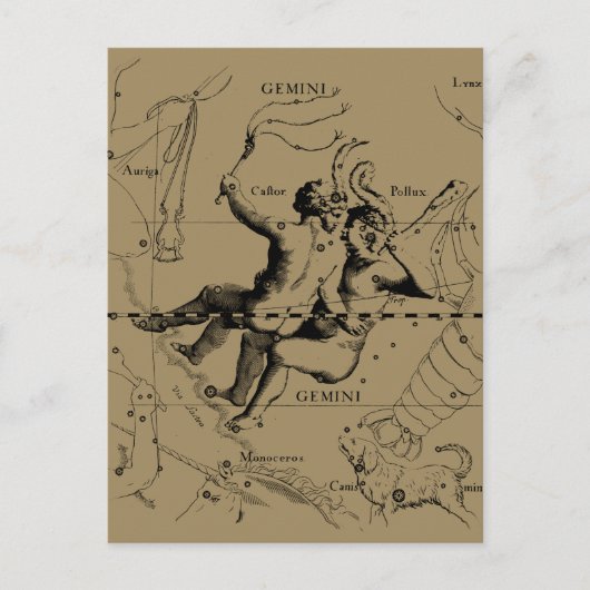 Carte Postale Gemini Constellation Zodiac Hevelius 1690 (Devant)