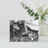 Carte Postale Gemini & Whisper (Debout devant)