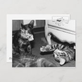 Carte Postale Gemini & Whisper (Devant / Derrière)