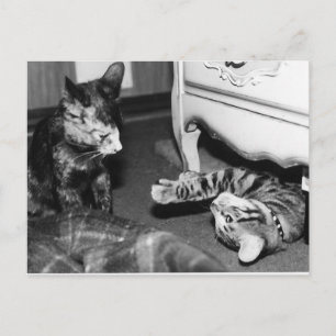 Carte Postale Gemini & Whisper