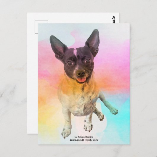 Carte postale Gemma Disco (Devant / Derrière)