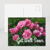 Carte postale Gene Boerner Rose #2 Bon rétablissem (Devant / Derrière)