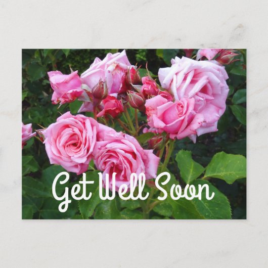 Carte postale Gene Boerner Rose #3 Meilleurs Vœux  (Devant)