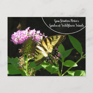 Carte Postale Gene Stratton Porter's Garden à Fleur sauvage Wood