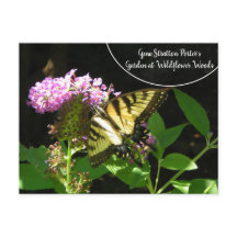 Gene Stratton Porter's Garden à Fleur sauvage Wood