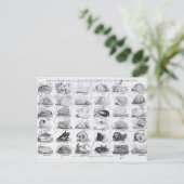 Carte Postale Genera of Shells jigsaw, pub. par W. Edwards (Debout devant)