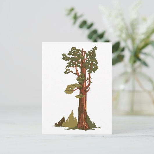 Carte Postale Général Sherman Tree (Debout devant)