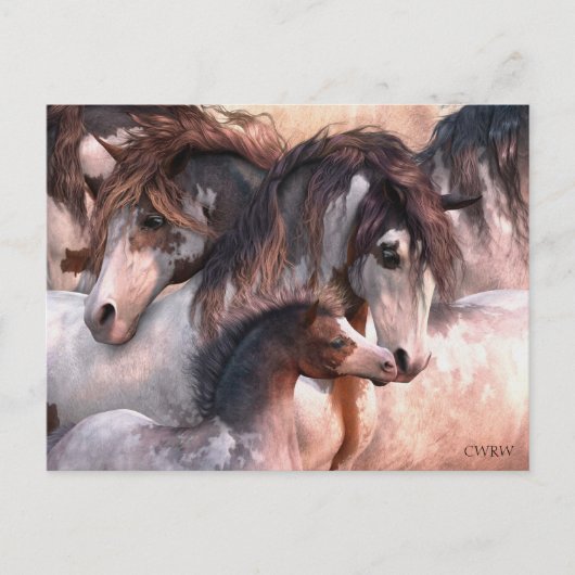 Carte postale Génération (Devant)