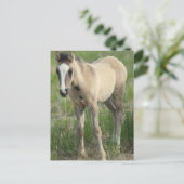 Carte Postale Générations (Debout devant)