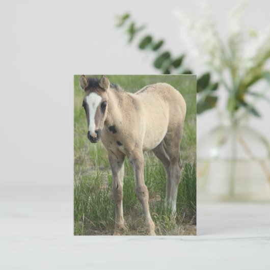 Carte Postale Générations (Debout devant)