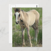 Carte Postale Générations (Devant / Derrière)