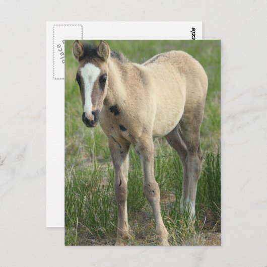 Carte Postale Générations (Devant / Derrière)