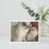 Carte Postale Générations (Debout devant)