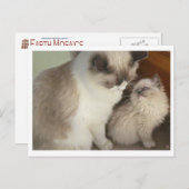 Carte Postale Générations (Devant / Derrière)