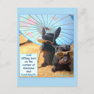 Carte postale géniale & Bombdiggity